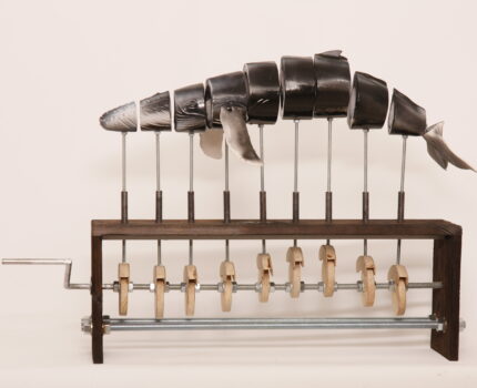 Automata Whale