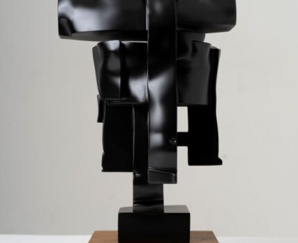 Torso