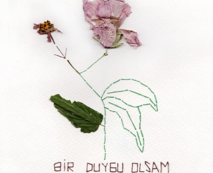 Bir Duygu Olsam Heves Olmak İsterdim