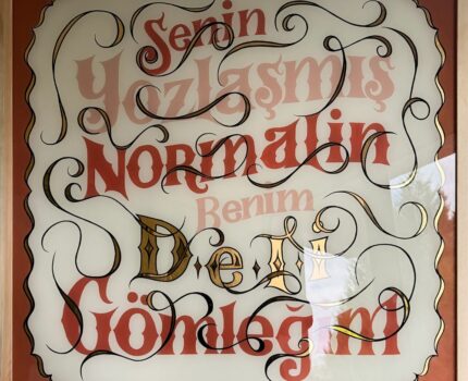 Senin Yozlaşmış Normalin Benim Deli Gömleğim