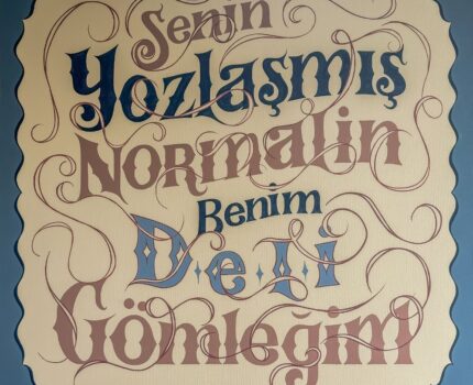 Senin Yozlaşmış Normalin Benim Deli Gömleğim
